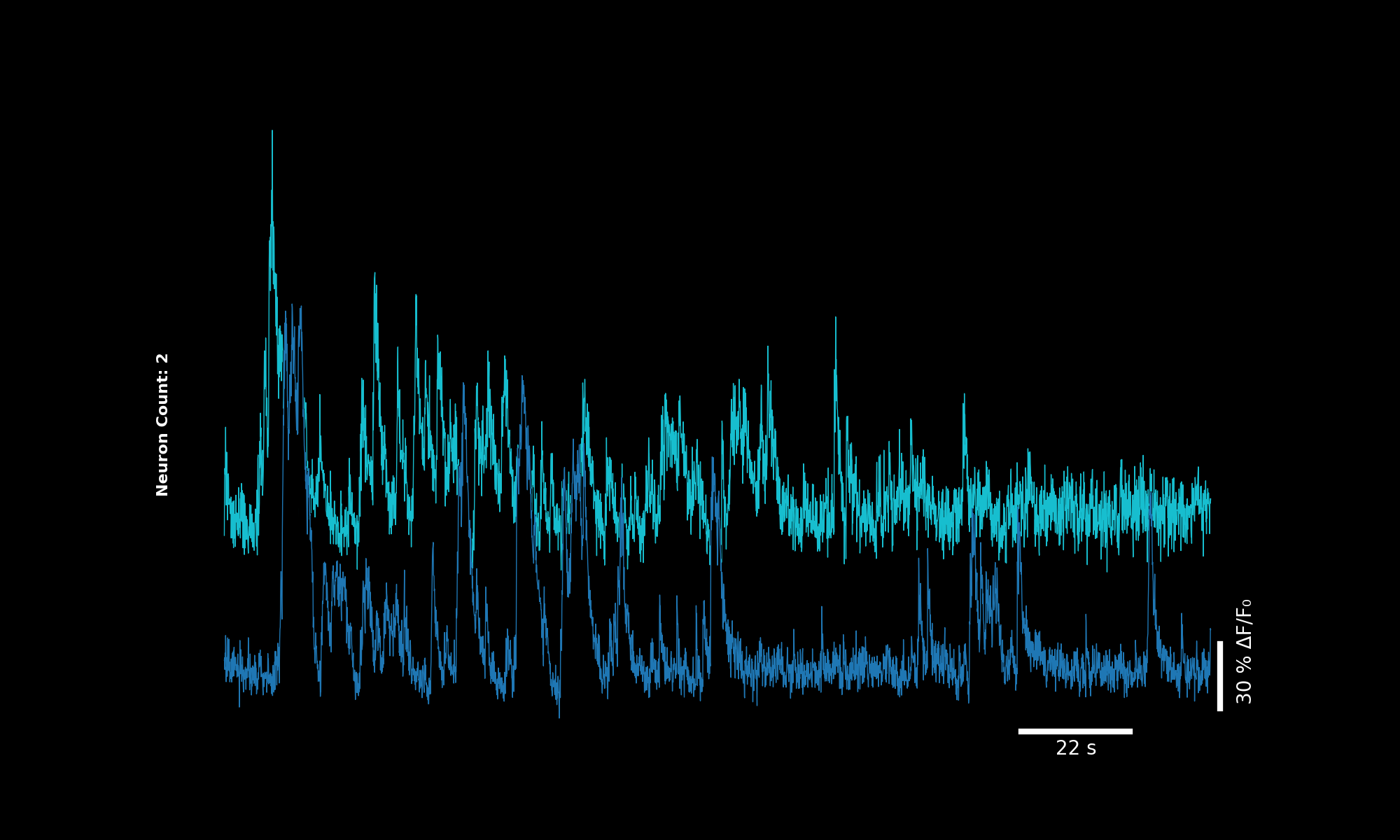 Two neurons, baseline offset