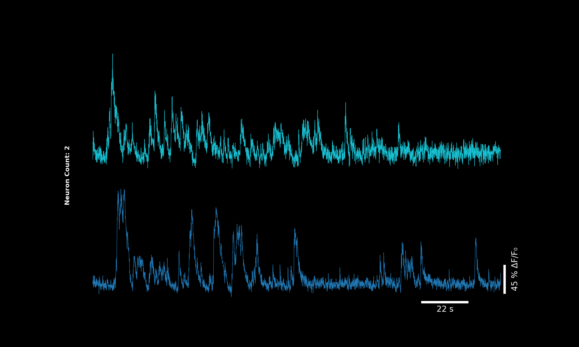 Two neurons with offset