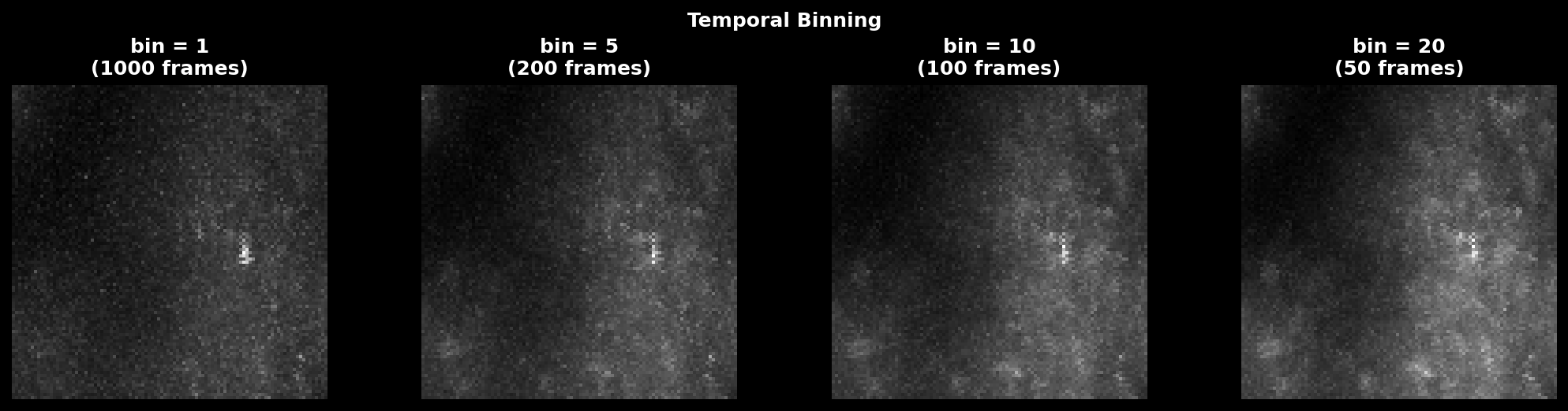 Temporal Binning