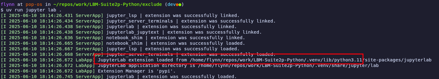 ../_images/venv_jlab.png